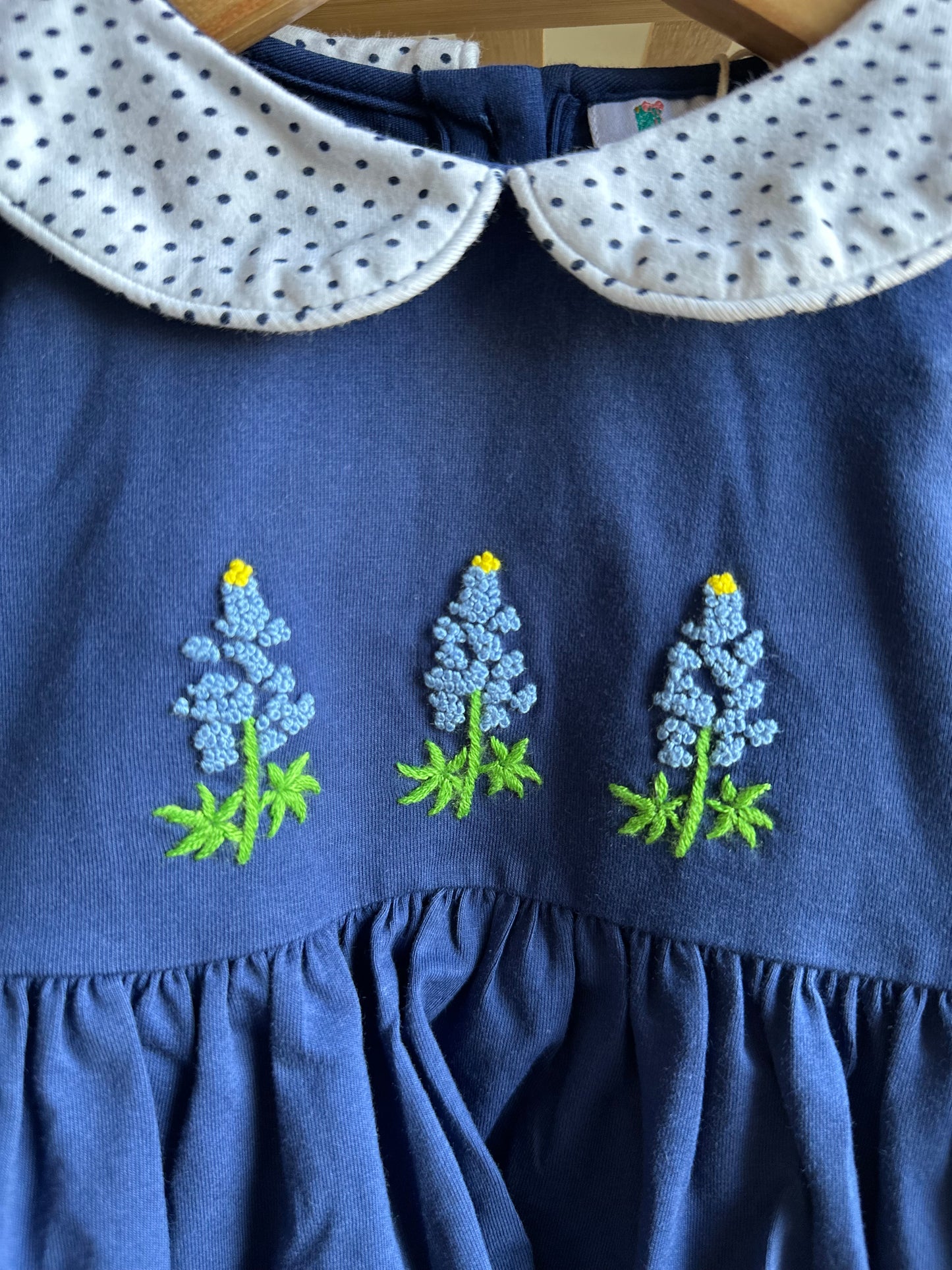 Bluebonnet Bloomer Set