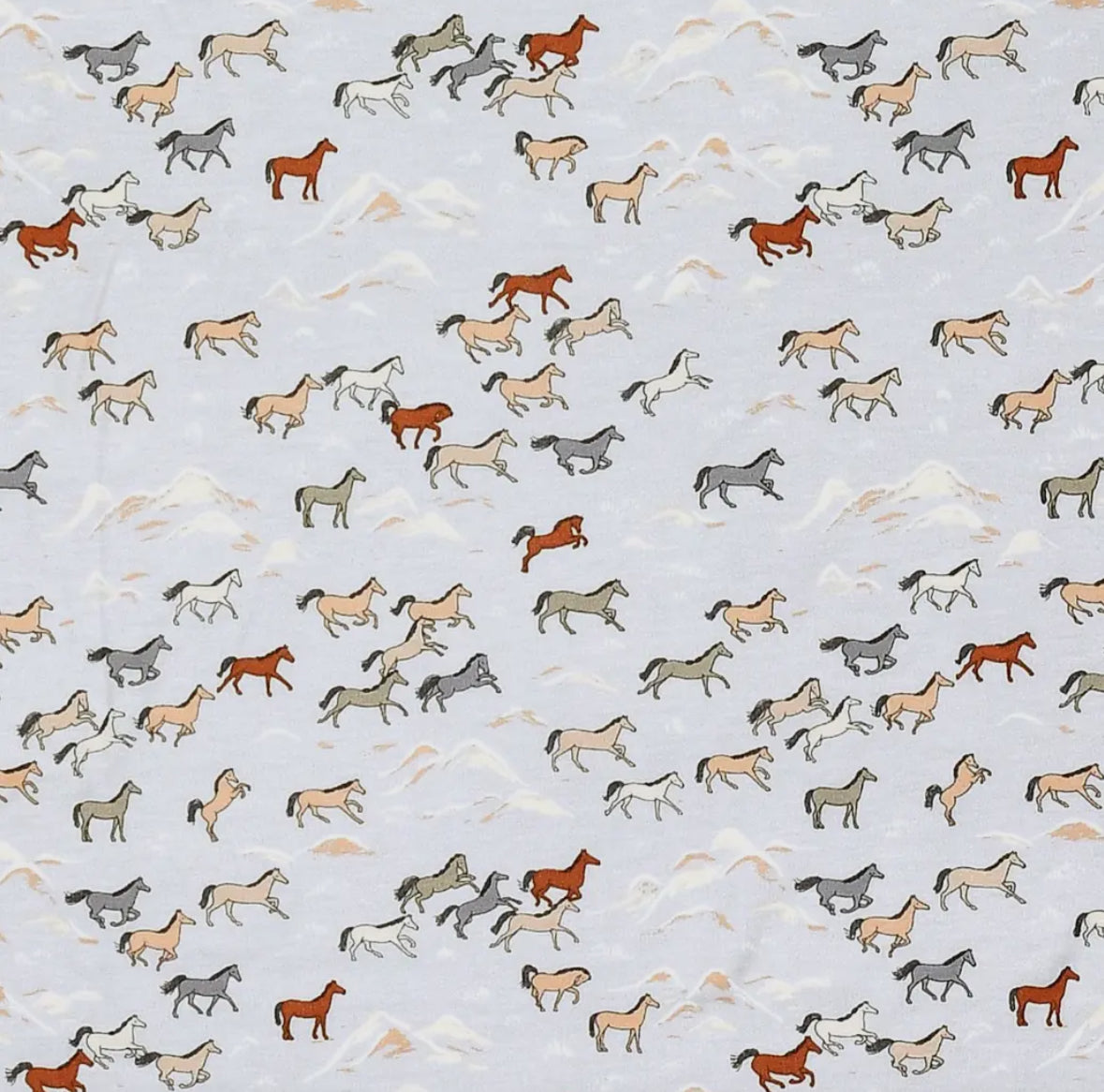Wild Horses Footie