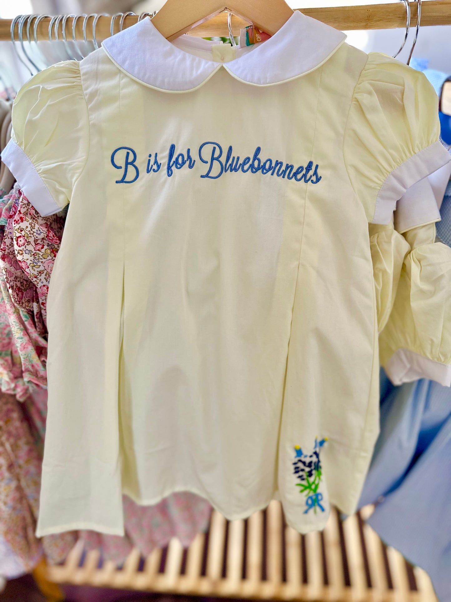 B is for Bluebonnets Dress