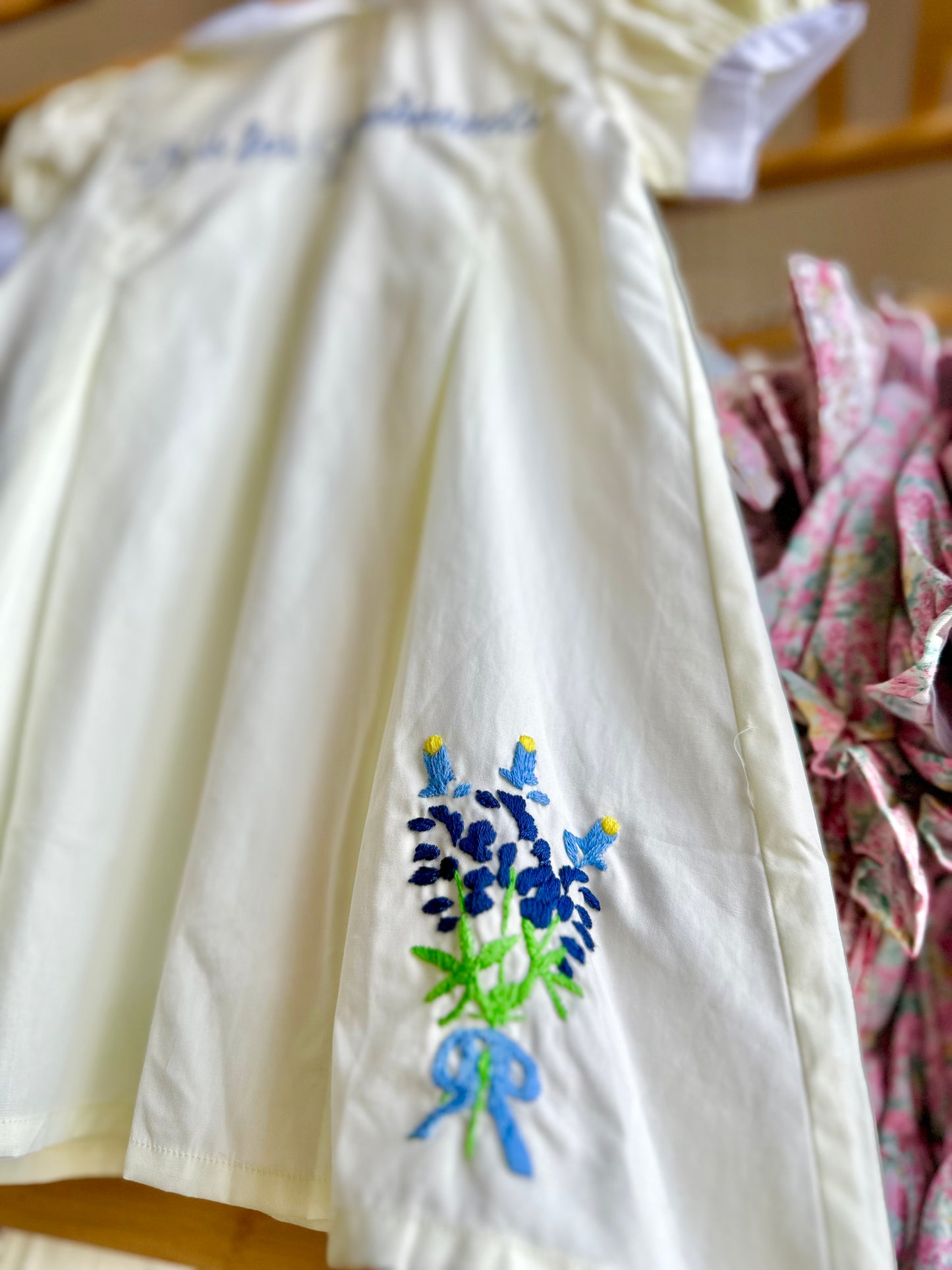 B is for Bluebonnets Dress
