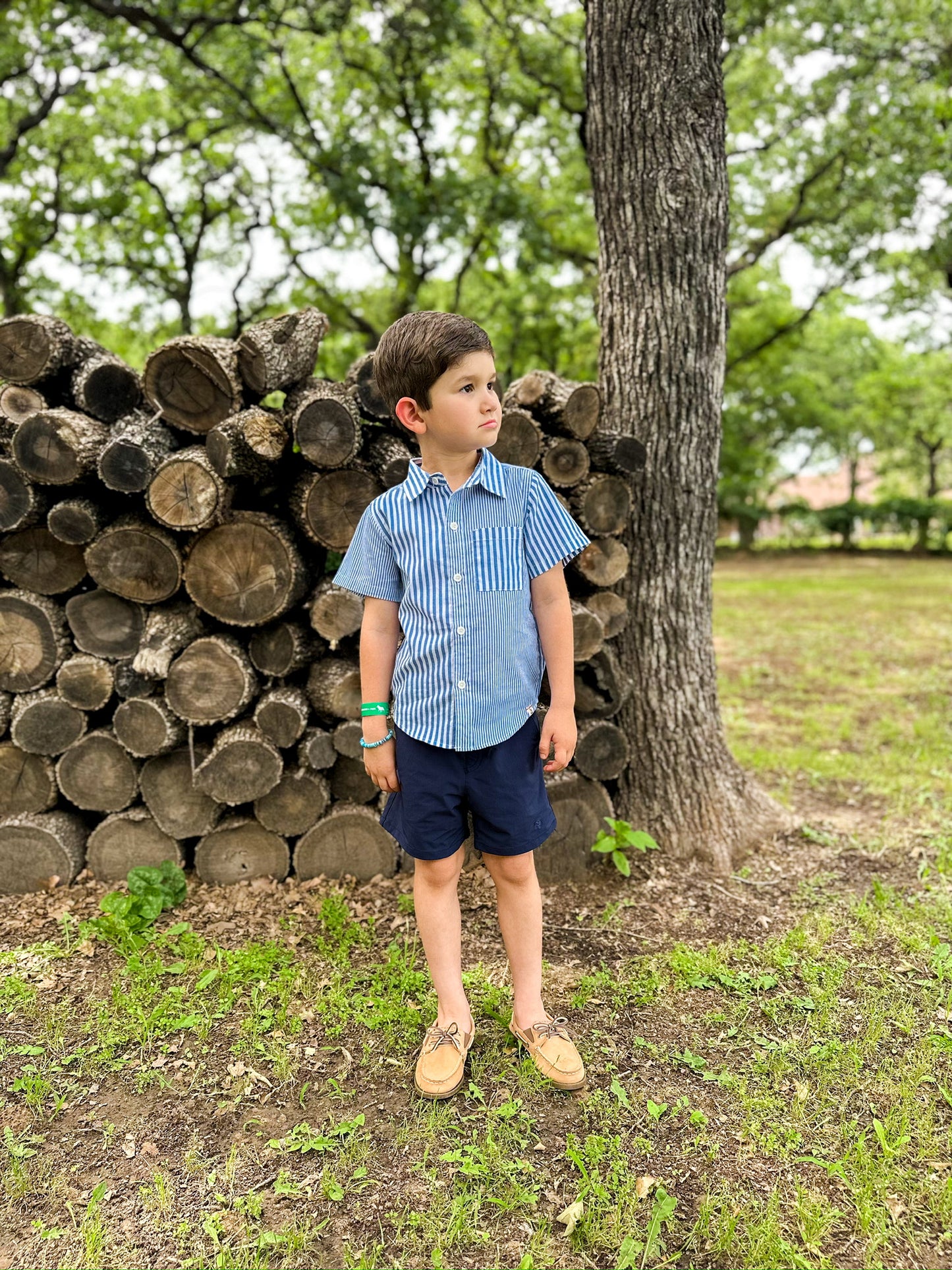 Arthur Short Sleeve Shirt -Blue