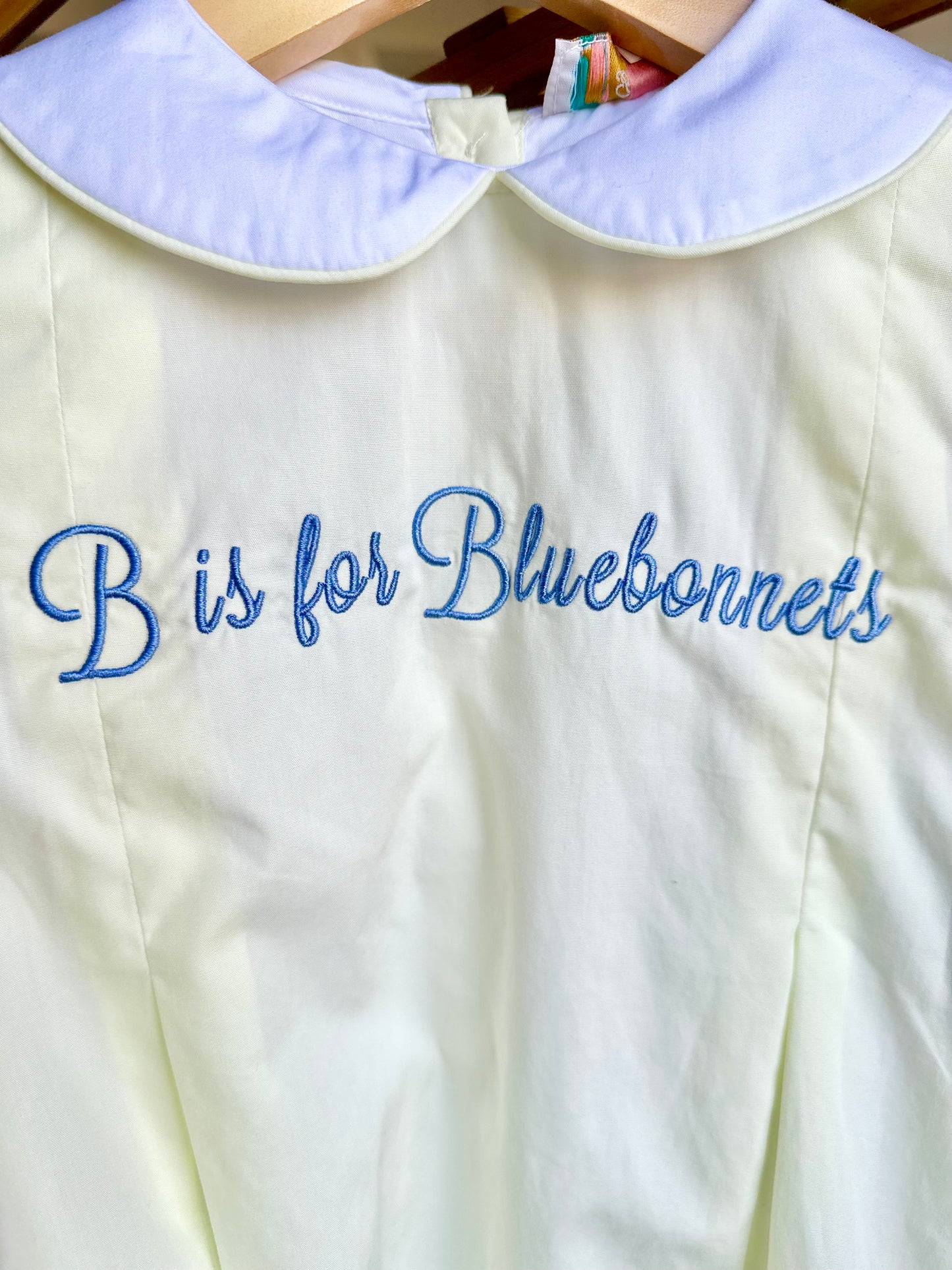 B is for Bluebonnets Dress
