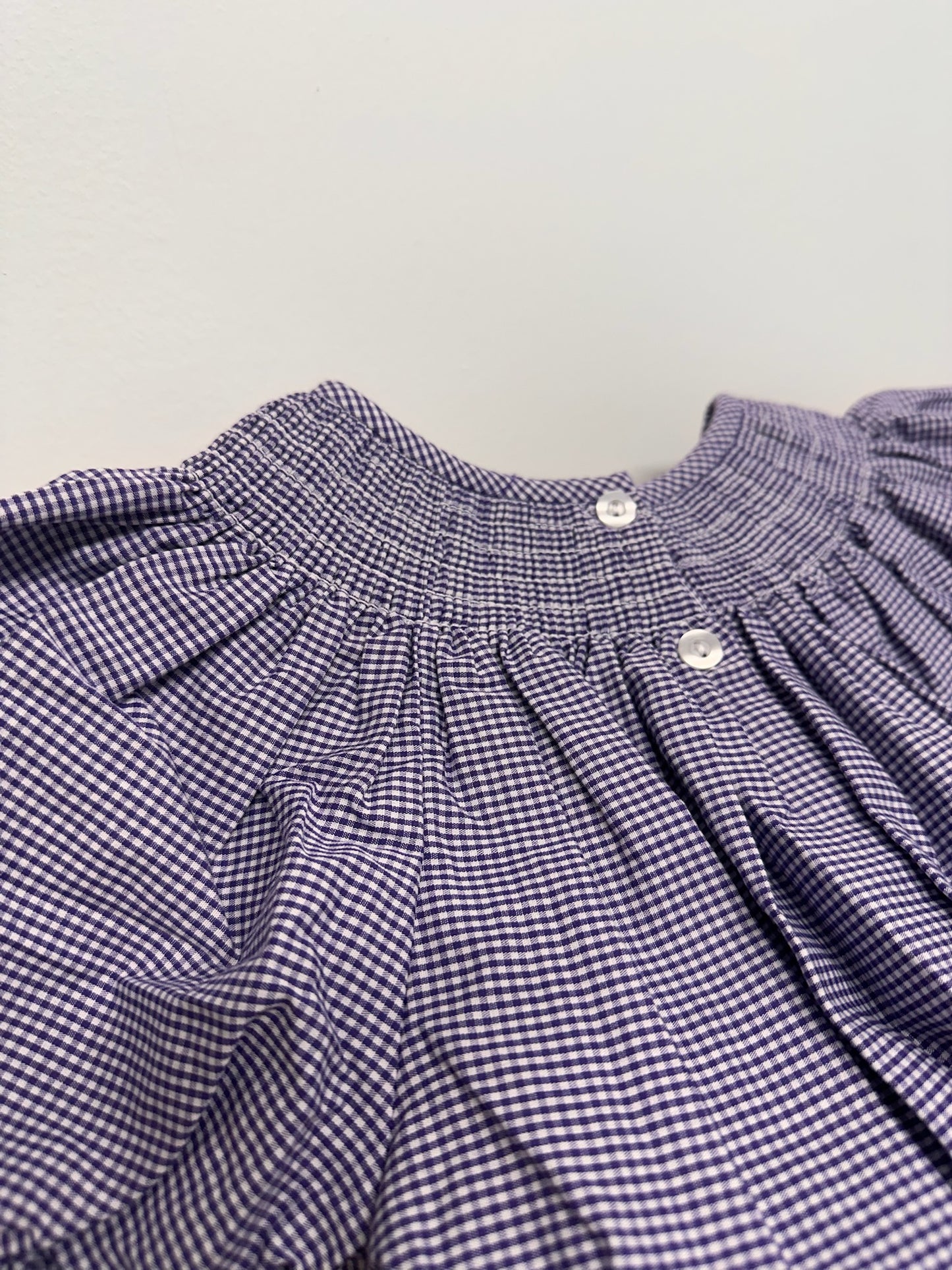 TCU Embroidered Smocked Bishop Dress