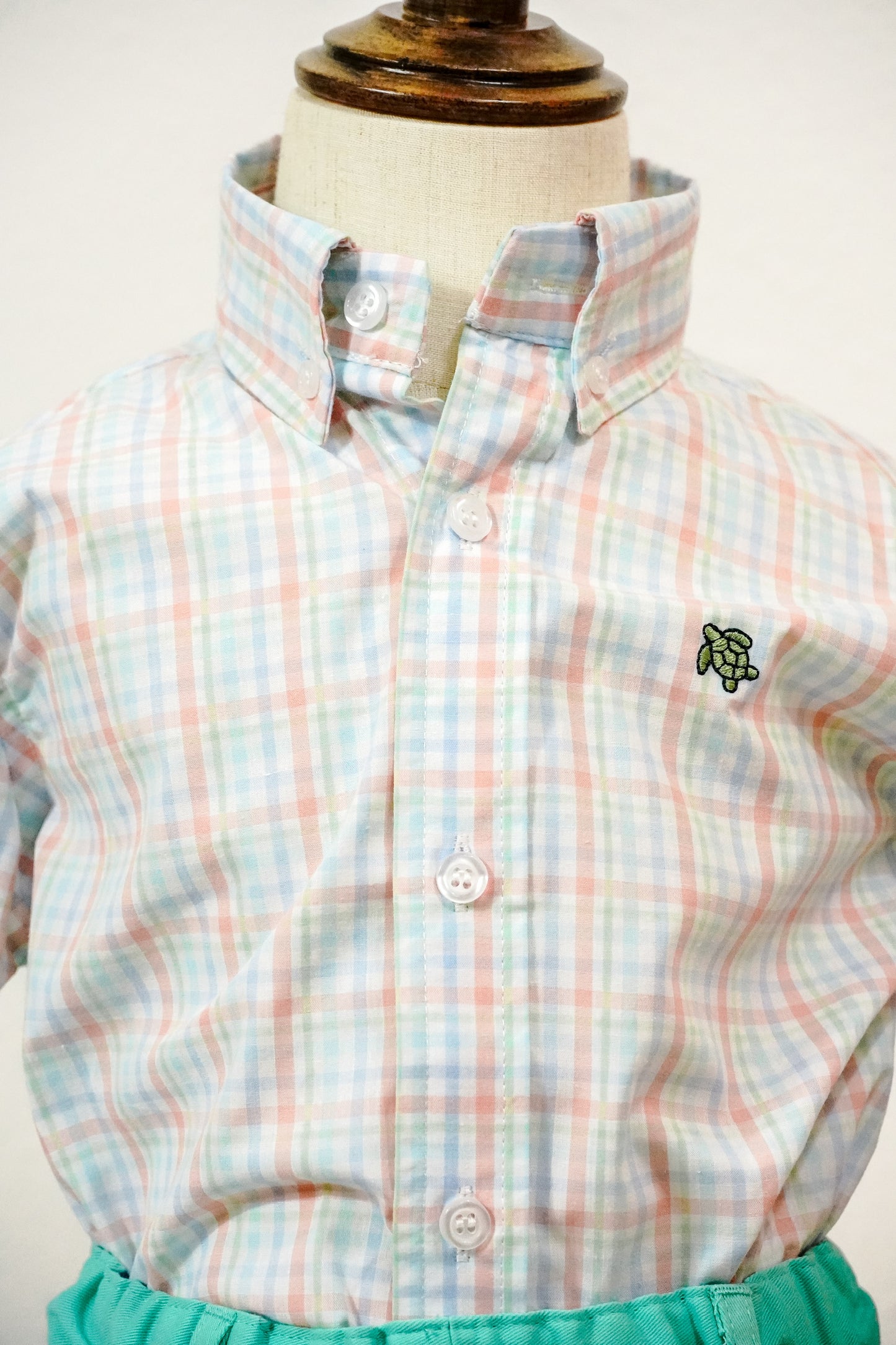 Palmer- Roscoe Button Down