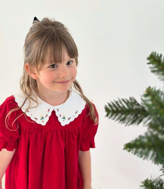 Red Holly Jolly Velvet Miller Dress