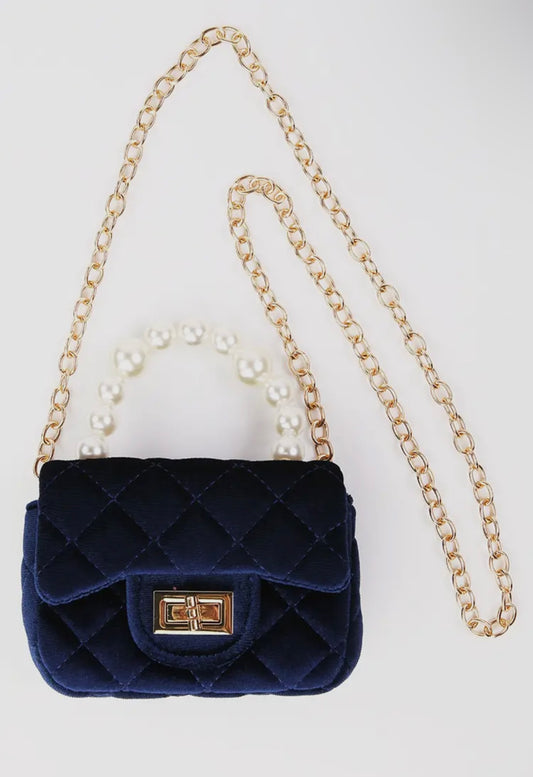 Blue Velvet Purse